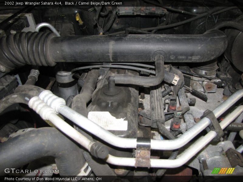 Black / Camel Beige/Dark Green 2002 Jeep Wrangler Sahara 4x4