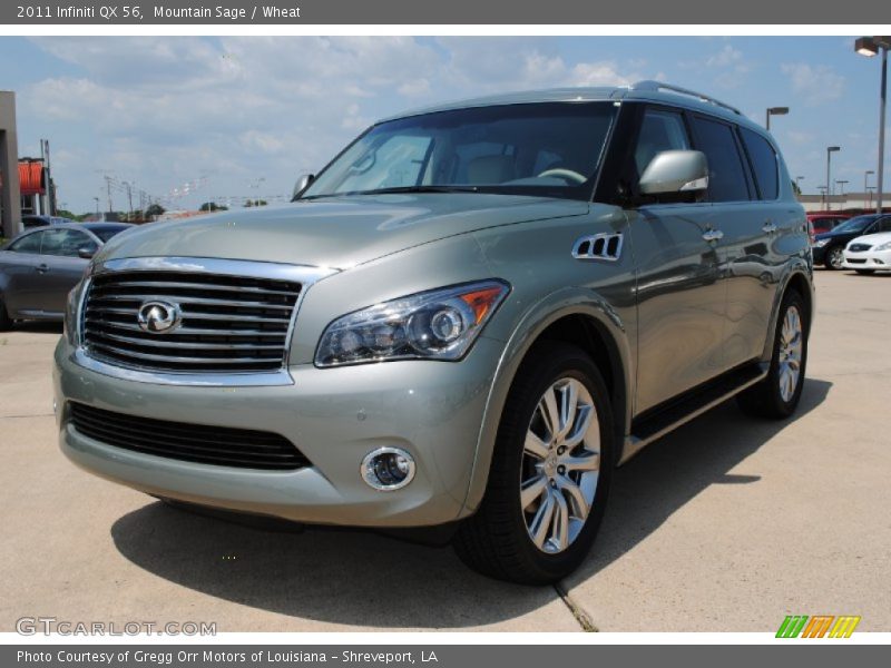 Mountain Sage / Wheat 2011 Infiniti QX 56
