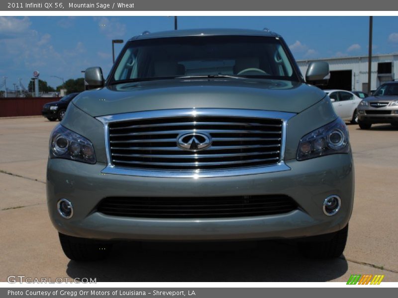 Mountain Sage / Wheat 2011 Infiniti QX 56