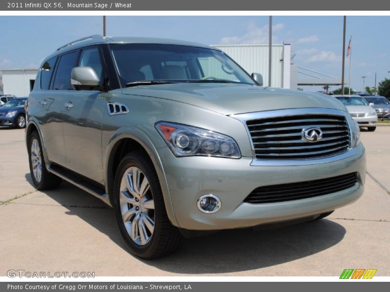 Mountain Sage / Wheat 2011 Infiniti QX 56