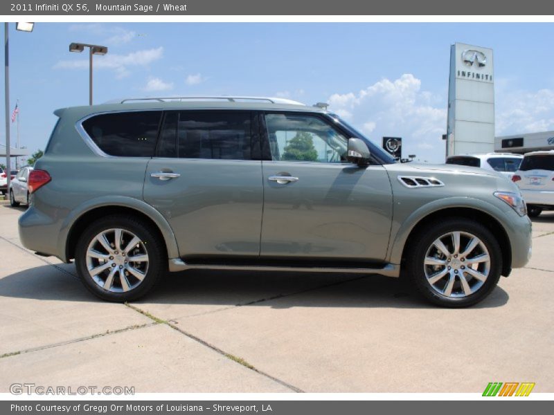 Mountain Sage / Wheat 2011 Infiniti QX 56
