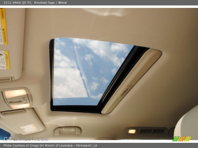 Mountain Sage / Wheat 2011 Infiniti QX 56