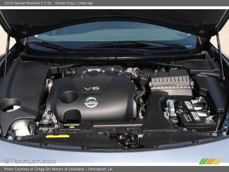 Ocean Gray / Charcoal 2010 Nissan Maxima 3.5 SV