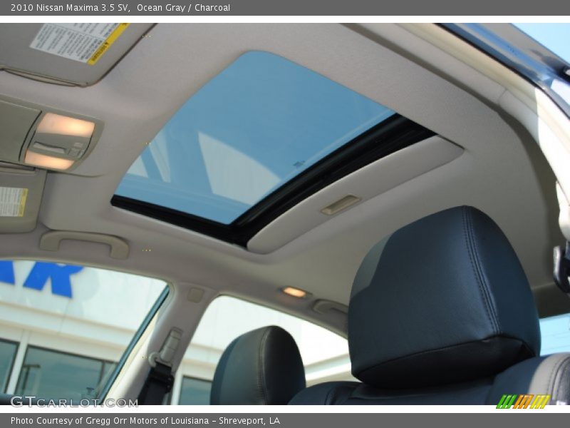 Ocean Gray / Charcoal 2010 Nissan Maxima 3.5 SV