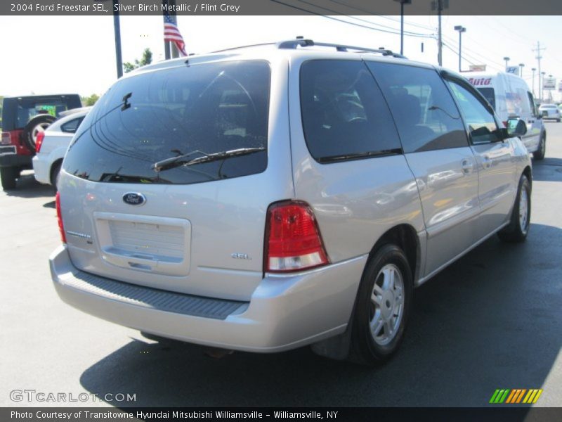 Silver Birch Metallic / Flint Grey 2004 Ford Freestar SEL