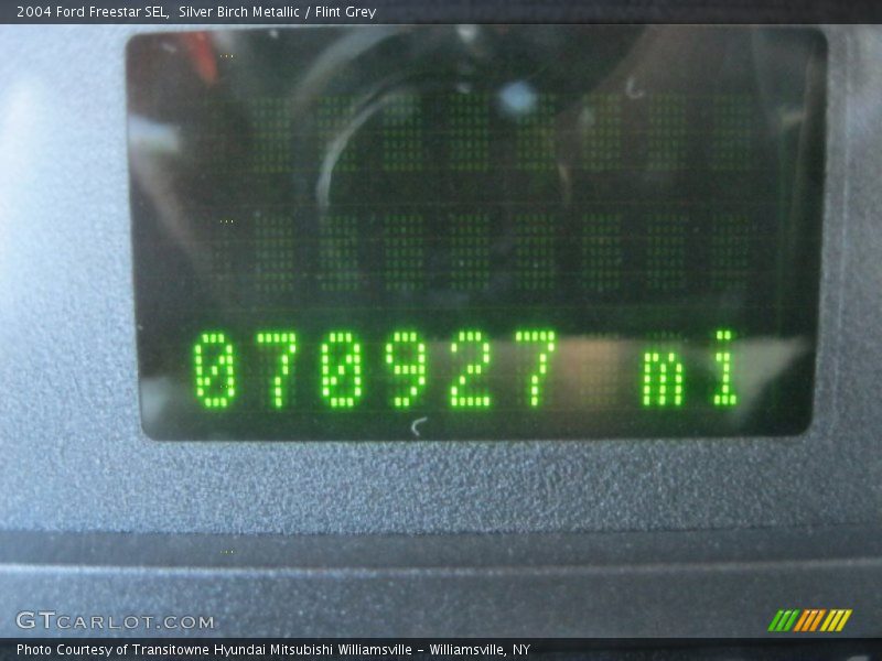Silver Birch Metallic / Flint Grey 2004 Ford Freestar SEL