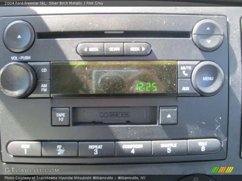 Silver Birch Metallic / Flint Grey 2004 Ford Freestar SEL