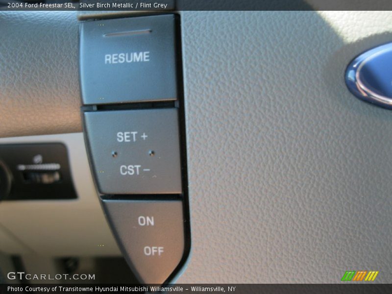 Silver Birch Metallic / Flint Grey 2004 Ford Freestar SEL