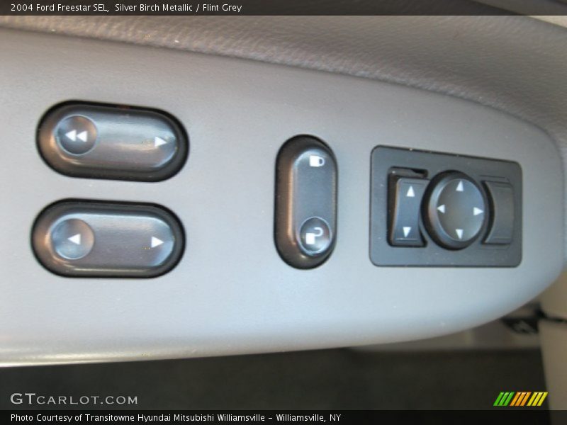 Silver Birch Metallic / Flint Grey 2004 Ford Freestar SEL