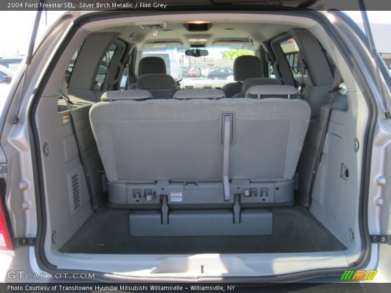 Silver Birch Metallic / Flint Grey 2004 Ford Freestar SEL