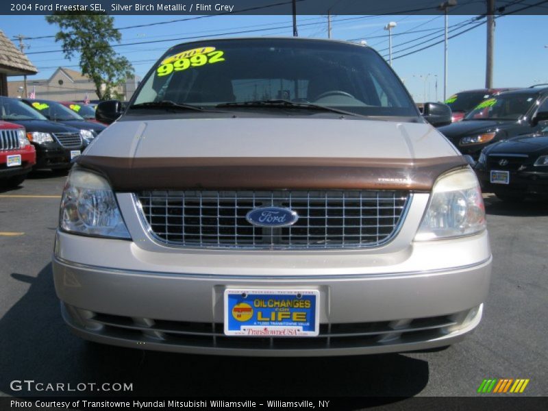 Silver Birch Metallic / Flint Grey 2004 Ford Freestar SEL