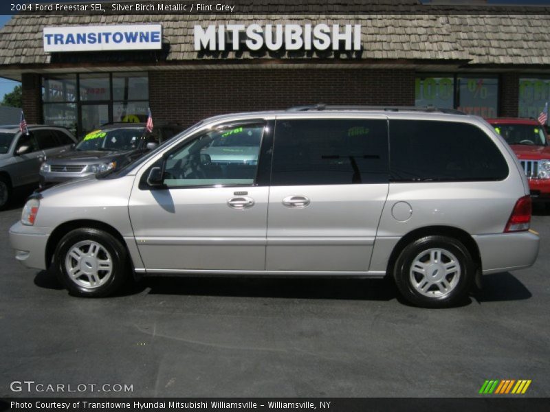 Silver Birch Metallic / Flint Grey 2004 Ford Freestar SEL