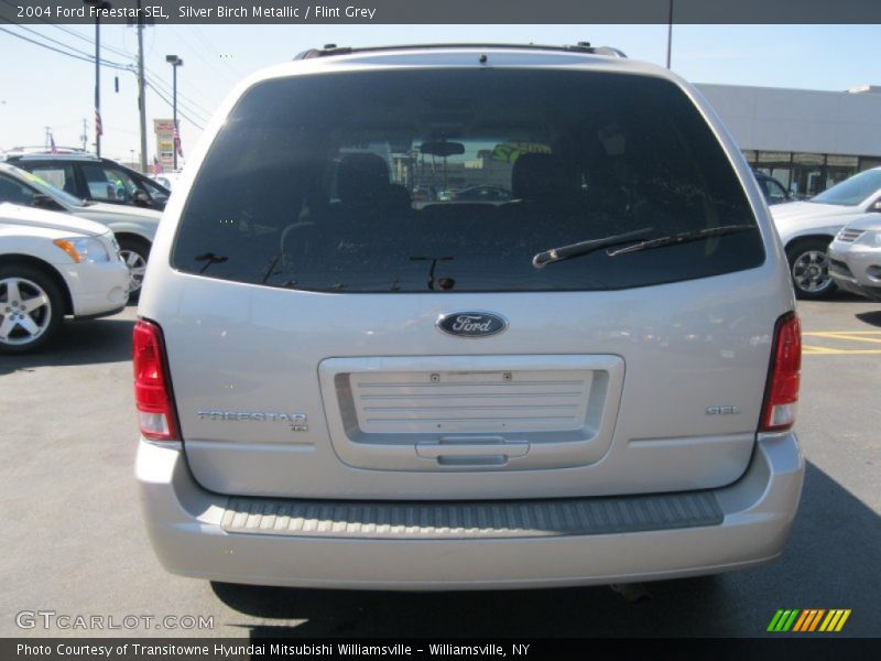 Silver Birch Metallic / Flint Grey 2004 Ford Freestar SEL