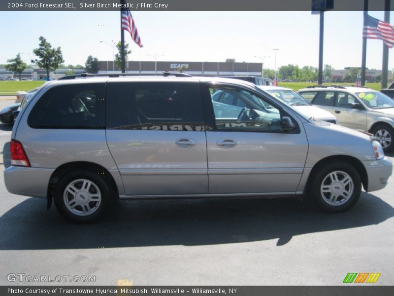 Silver Birch Metallic / Flint Grey 2004 Ford Freestar SEL