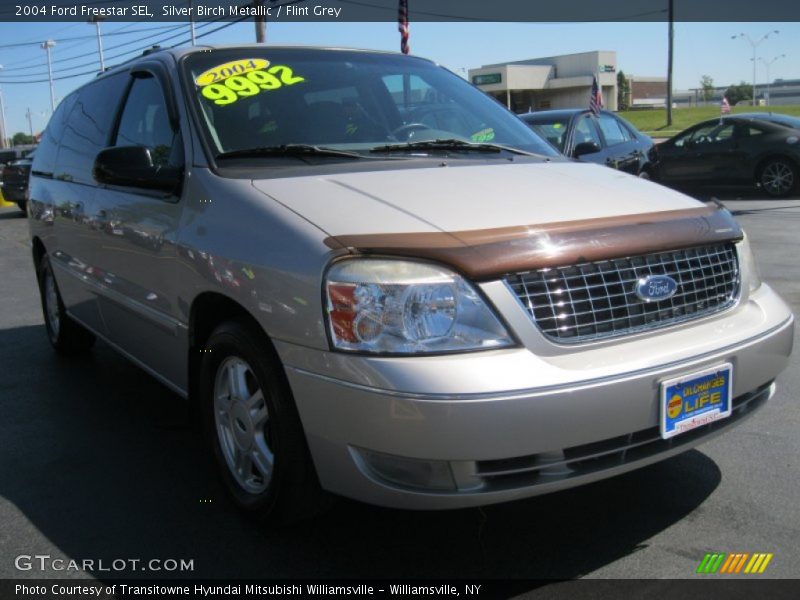 Silver Birch Metallic / Flint Grey 2004 Ford Freestar SEL
