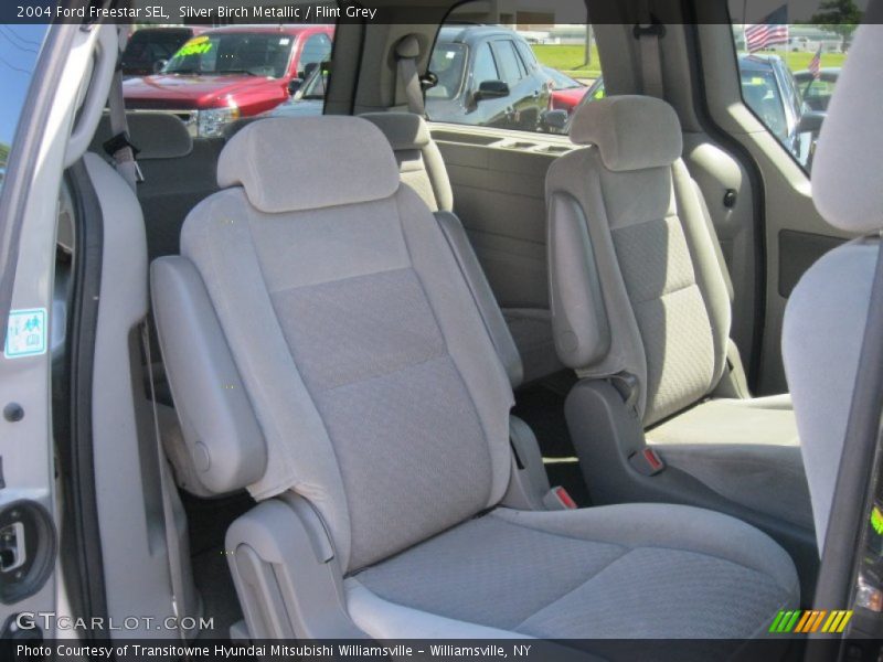 Silver Birch Metallic / Flint Grey 2004 Ford Freestar SEL