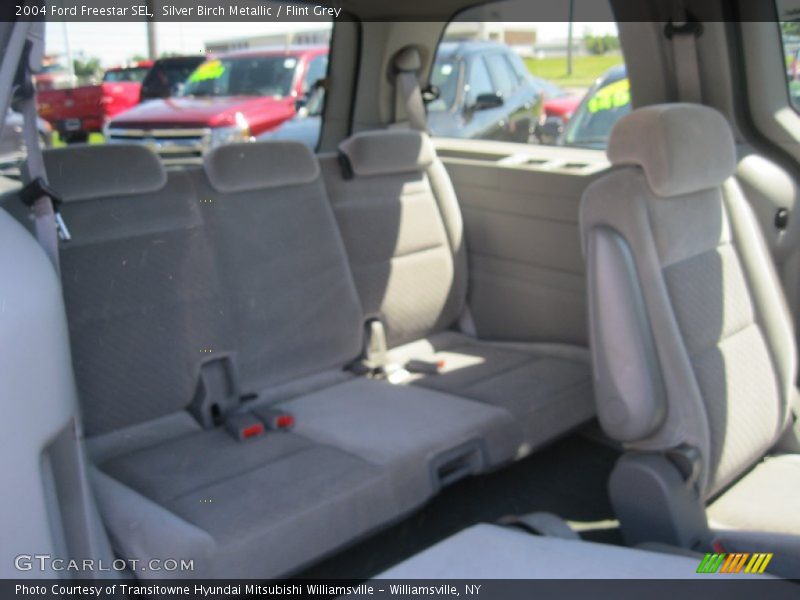 Silver Birch Metallic / Flint Grey 2004 Ford Freestar SEL