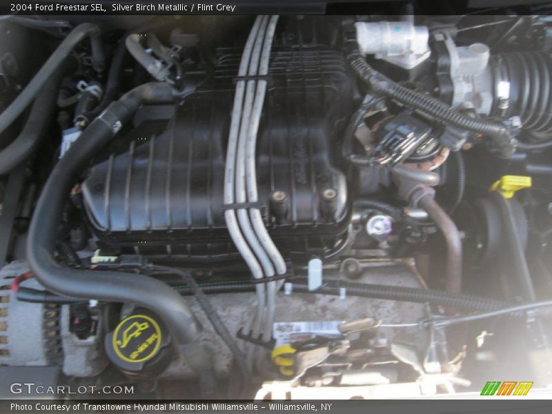 Silver Birch Metallic / Flint Grey 2004 Ford Freestar SEL