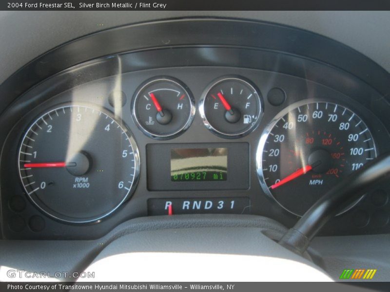 Silver Birch Metallic / Flint Grey 2004 Ford Freestar SEL