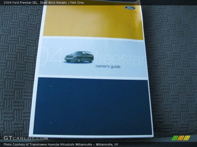 Silver Birch Metallic / Flint Grey 2004 Ford Freestar SEL