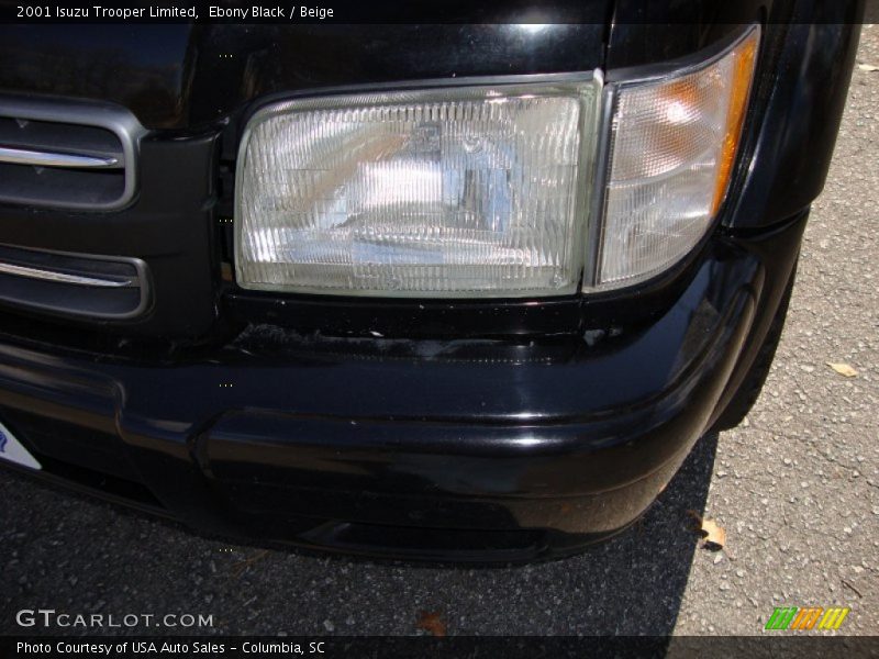 Ebony Black / Beige 2001 Isuzu Trooper Limited