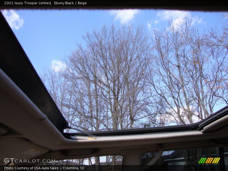 Ebony Black / Beige 2001 Isuzu Trooper Limited