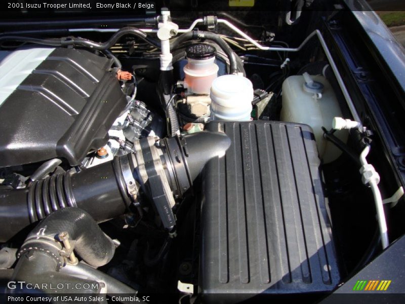 Ebony Black / Beige 2001 Isuzu Trooper Limited