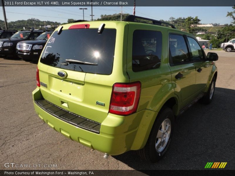 Lime Squeeze Metallic / Charcoal Black 2011 Ford Escape XLT V6 4WD