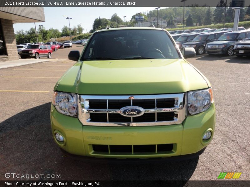 Lime Squeeze Metallic / Charcoal Black 2011 Ford Escape XLT V6 4WD