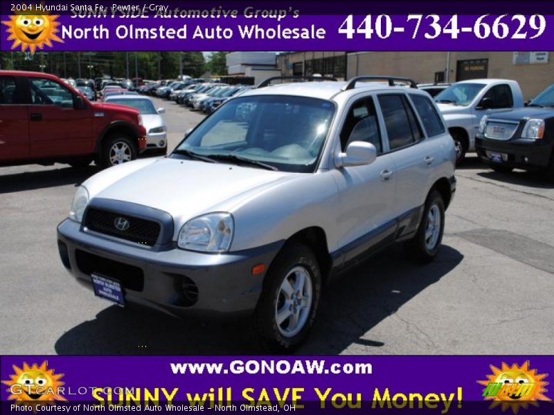 Pewter / Gray 2004 Hyundai Santa Fe