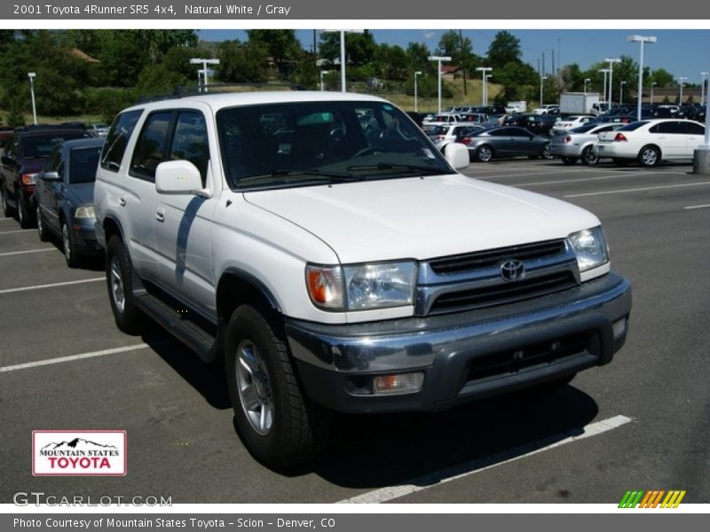 Natural White / Gray 2001 Toyota 4Runner SR5 4x4