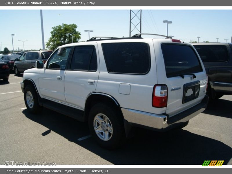 Natural White / Gray 2001 Toyota 4Runner SR5 4x4