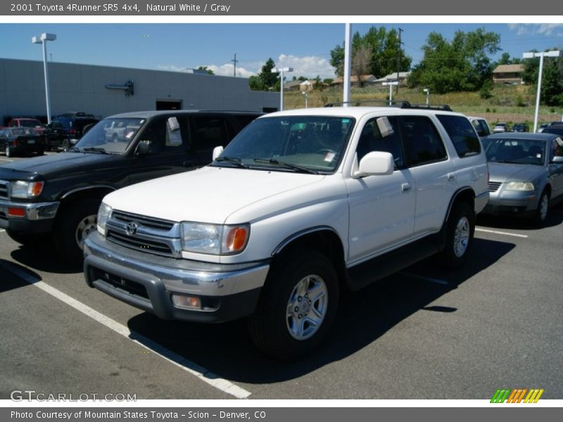 Natural White / Gray 2001 Toyota 4Runner SR5 4x4