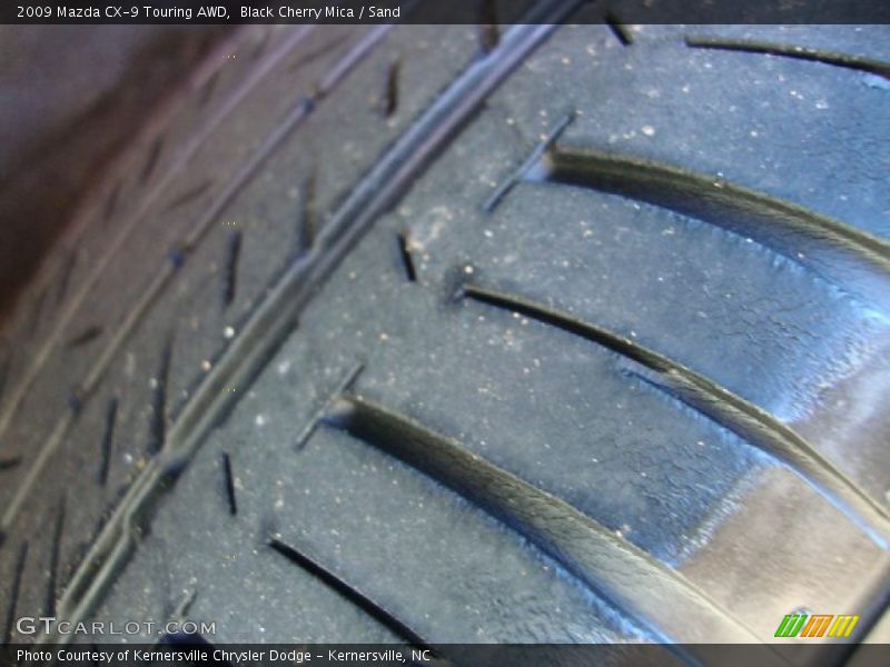 Black Cherry Mica / Sand 2009 Mazda CX-9 Touring AWD