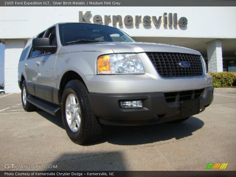 Silver Birch Metallic / Medium Flint Grey 2005 Ford Expedition XLT