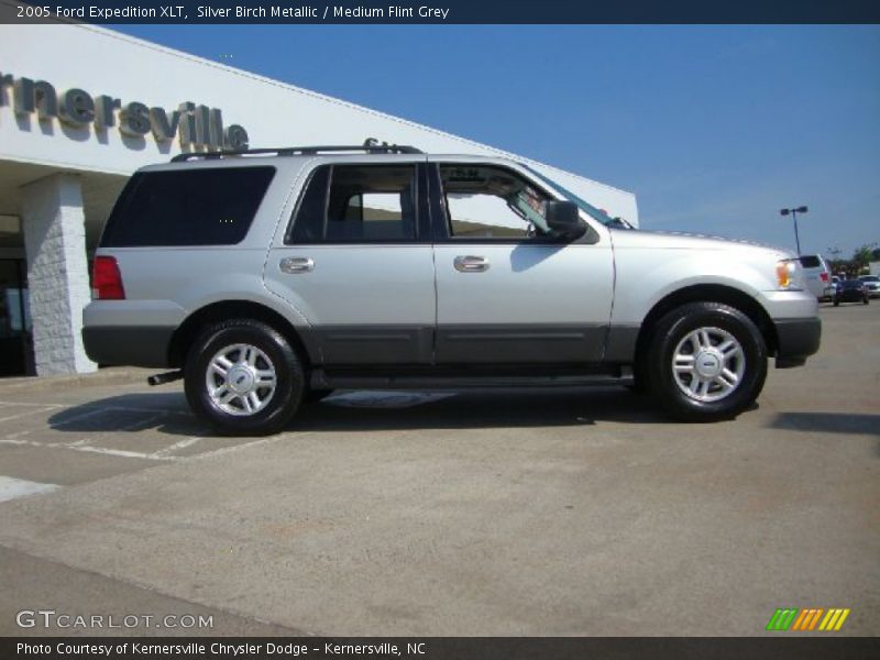 Silver Birch Metallic / Medium Flint Grey 2005 Ford Expedition XLT