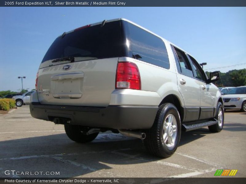 Silver Birch Metallic / Medium Flint Grey 2005 Ford Expedition XLT