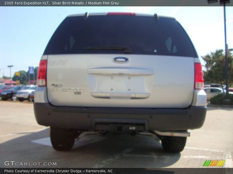 Silver Birch Metallic / Medium Flint Grey 2005 Ford Expedition XLT