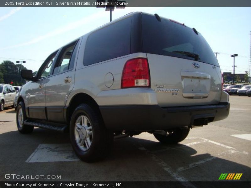 Silver Birch Metallic / Medium Flint Grey 2005 Ford Expedition XLT