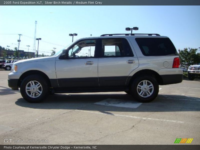 Silver Birch Metallic / Medium Flint Grey 2005 Ford Expedition XLT