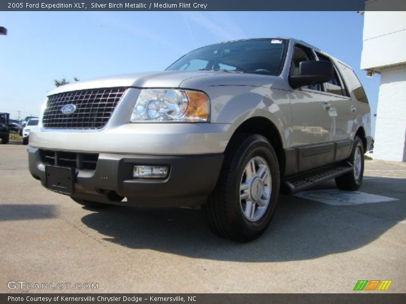 Silver Birch Metallic / Medium Flint Grey 2005 Ford Expedition XLT