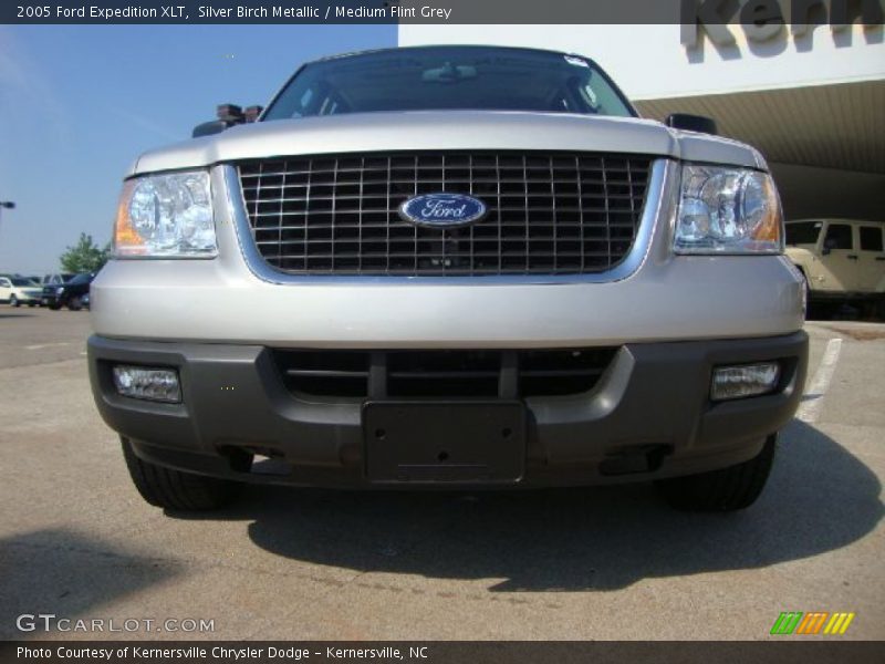 Silver Birch Metallic / Medium Flint Grey 2005 Ford Expedition XLT