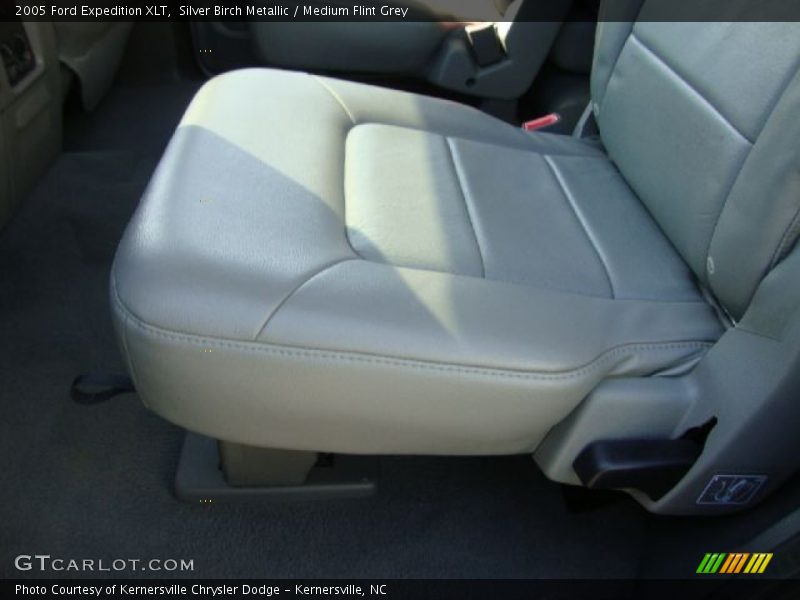 Silver Birch Metallic / Medium Flint Grey 2005 Ford Expedition XLT
