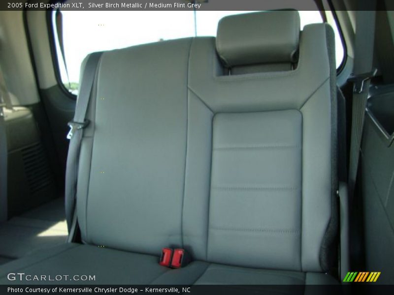 Silver Birch Metallic / Medium Flint Grey 2005 Ford Expedition XLT