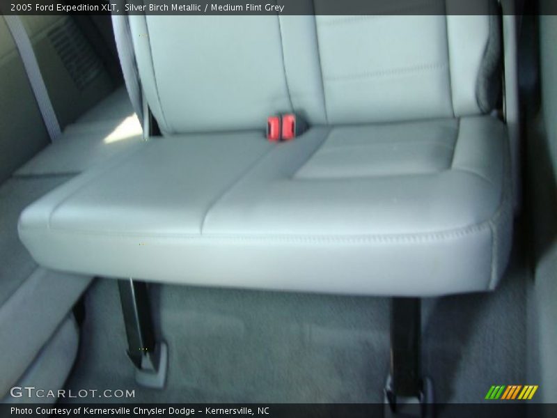 Silver Birch Metallic / Medium Flint Grey 2005 Ford Expedition XLT