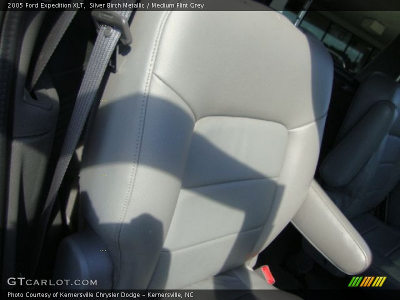 Silver Birch Metallic / Medium Flint Grey 2005 Ford Expedition XLT