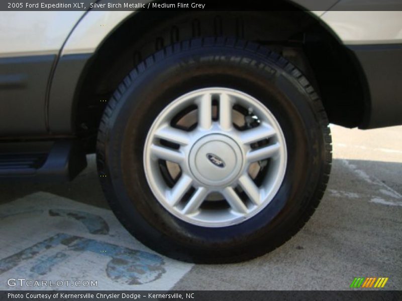 Silver Birch Metallic / Medium Flint Grey 2005 Ford Expedition XLT