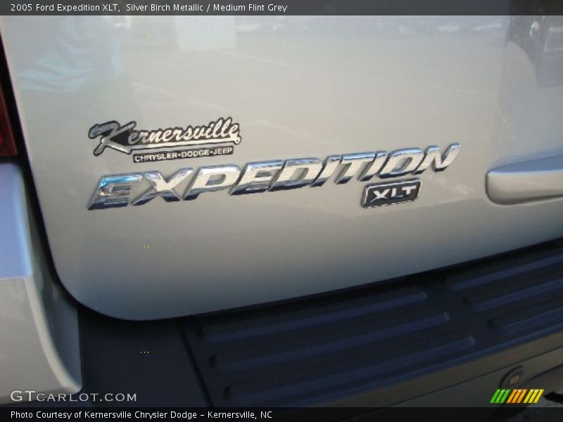 Silver Birch Metallic / Medium Flint Grey 2005 Ford Expedition XLT