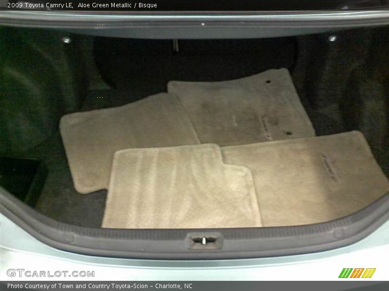 Aloe Green Metallic / Bisque 2009 Toyota Camry LE
