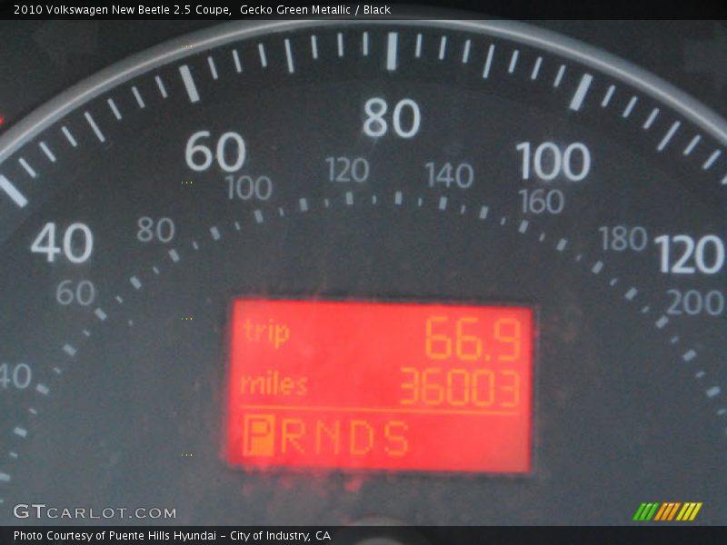 Gecko Green Metallic / Black 2010 Volkswagen New Beetle 2.5 Coupe